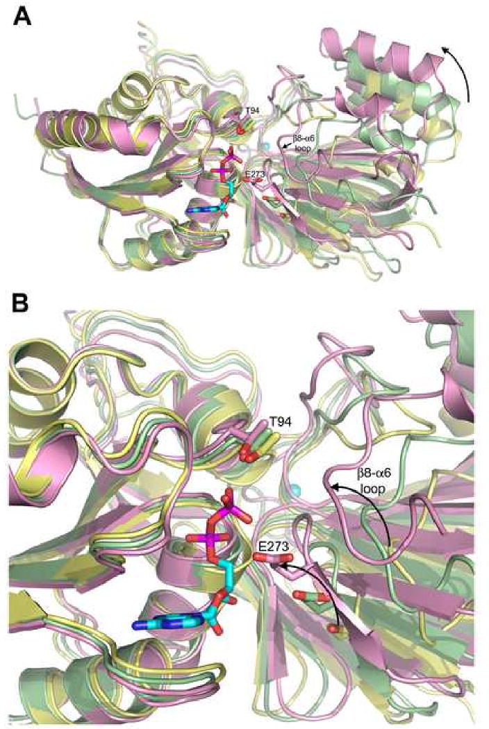 Figure 5