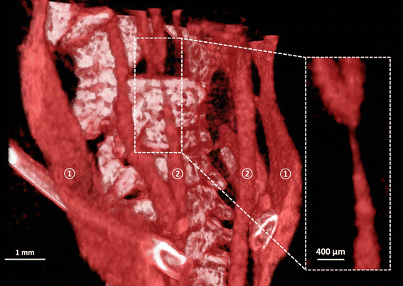 Fig. 2