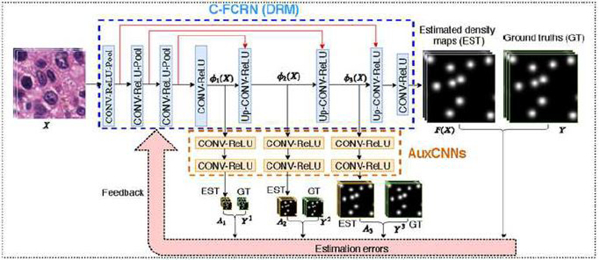 graphic file with name nihms-1652454-f0001.jpg