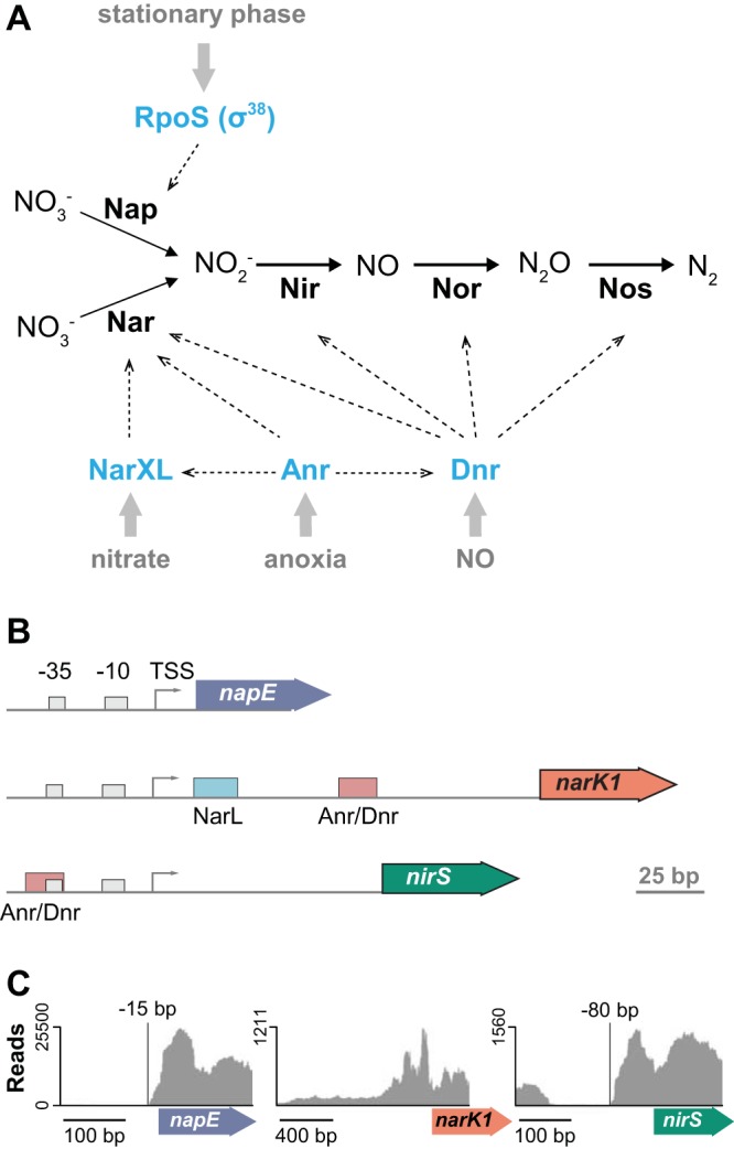 FIG 2