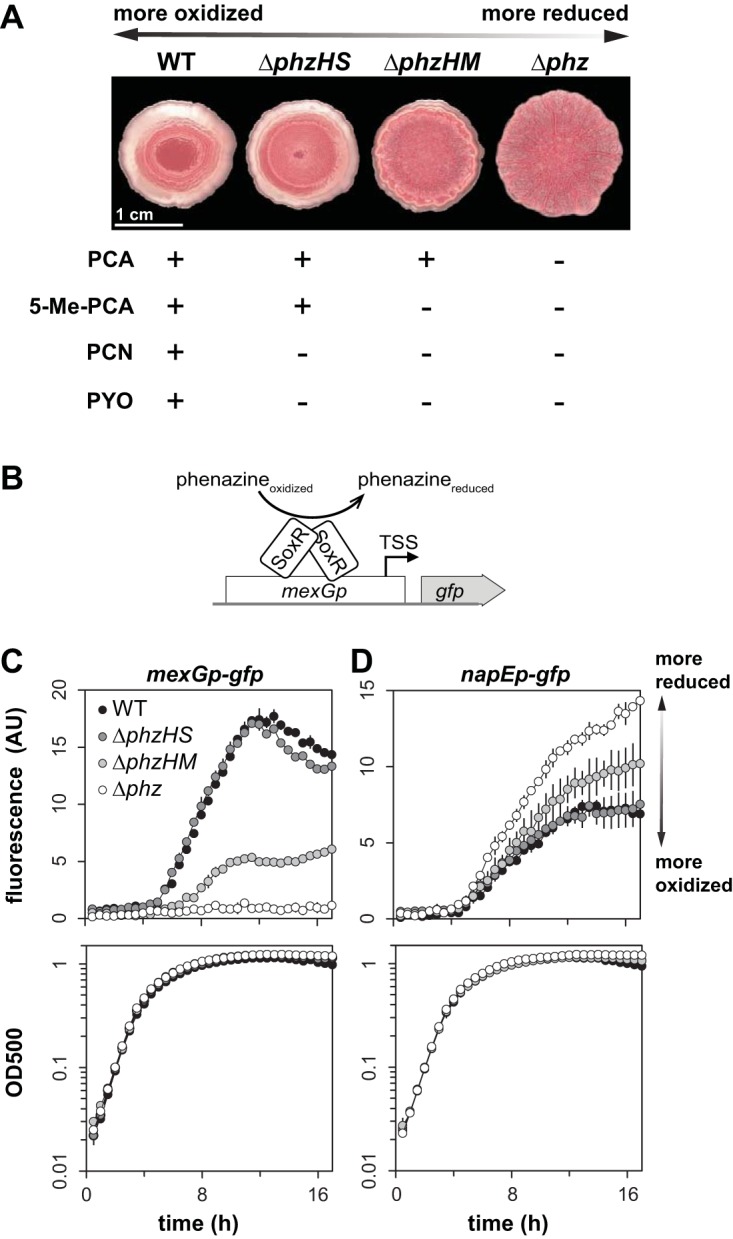 FIG 5