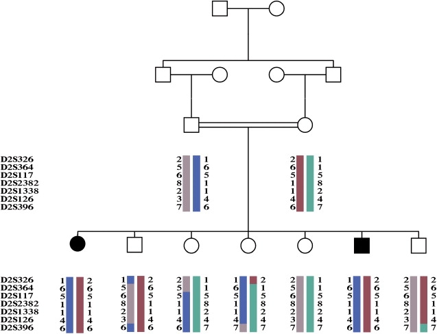 Figure 1