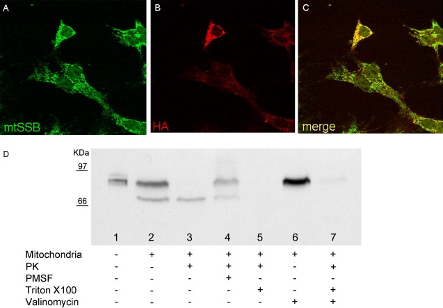 Figure 4