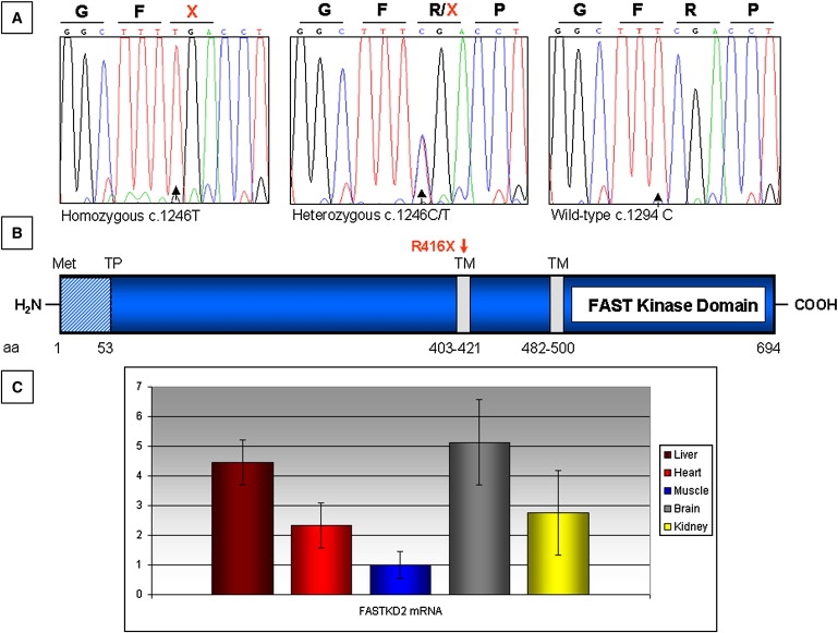 Figure 3