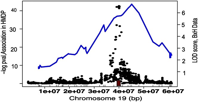 Fig. 1.