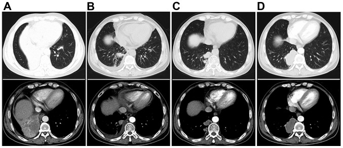 Figure 2.