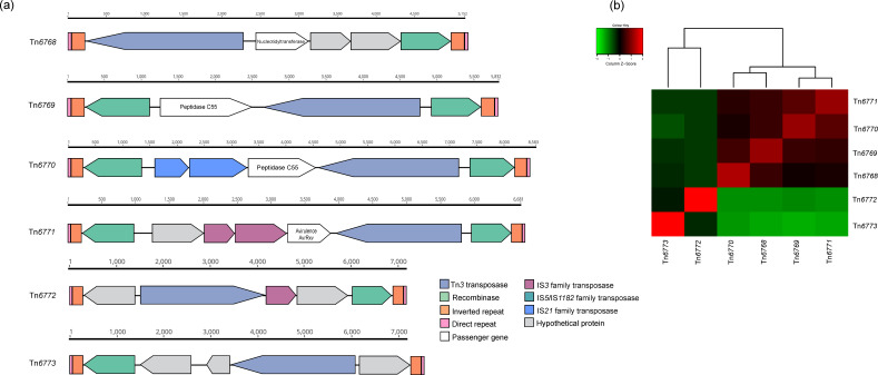 Fig. 3.