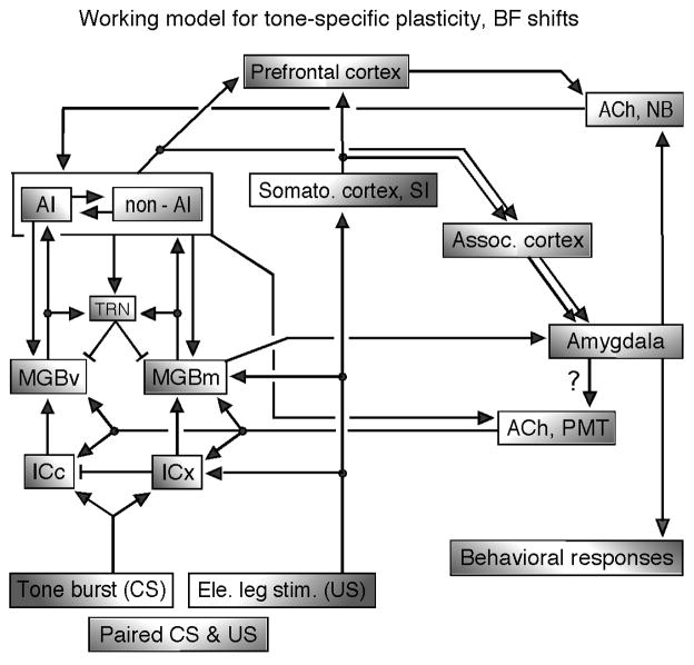 Fig. 11