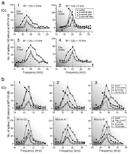 Fig. 13