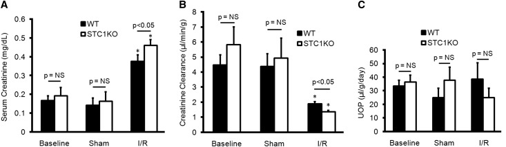 Figure 11.