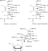 Fig. 9