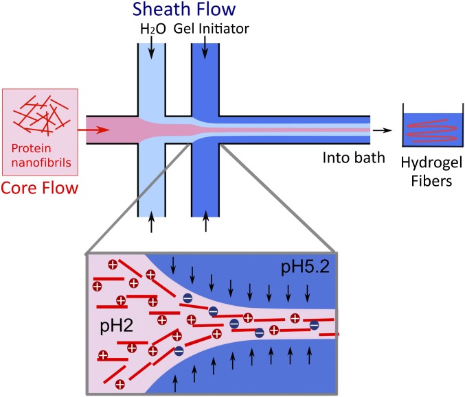 Fig. 2.