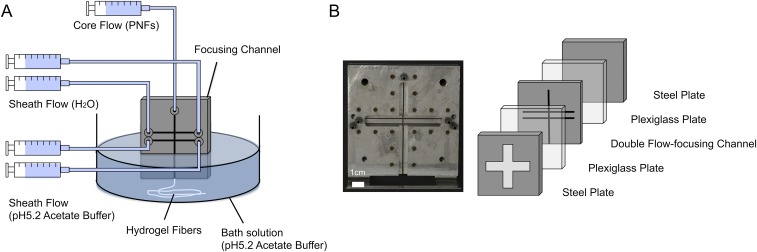 Fig. S1.