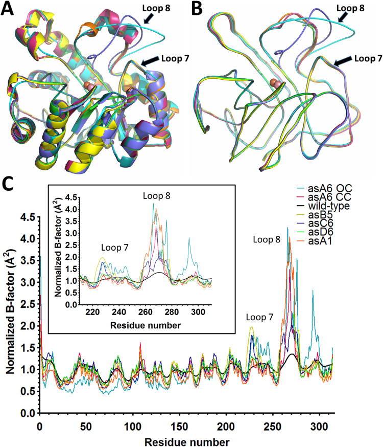 Figure 5