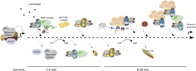 Figure 7.