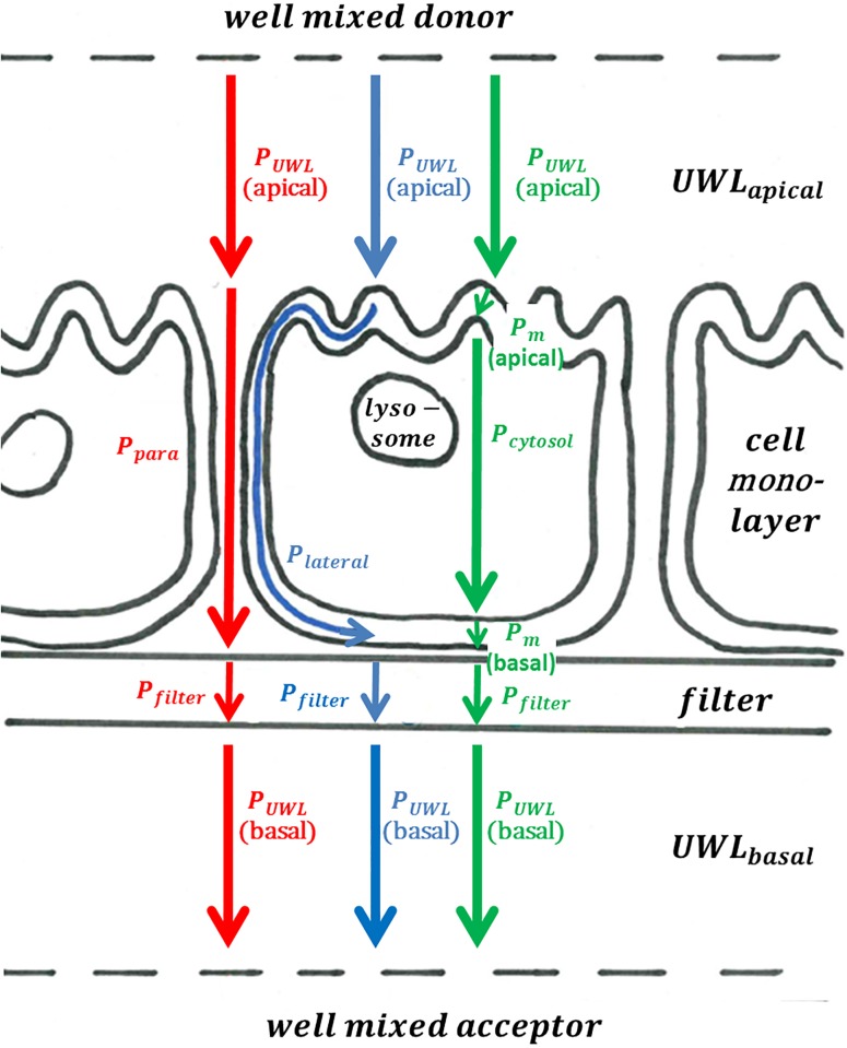 Fig 1