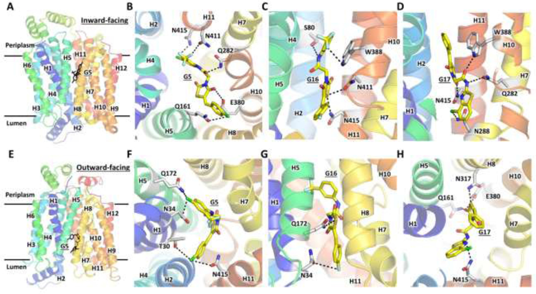 Figure 4.