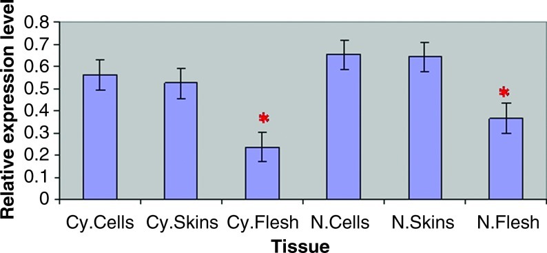 FIG. 4.