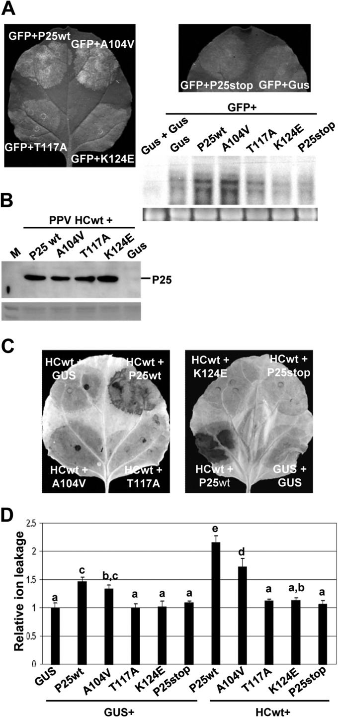 FIG 5