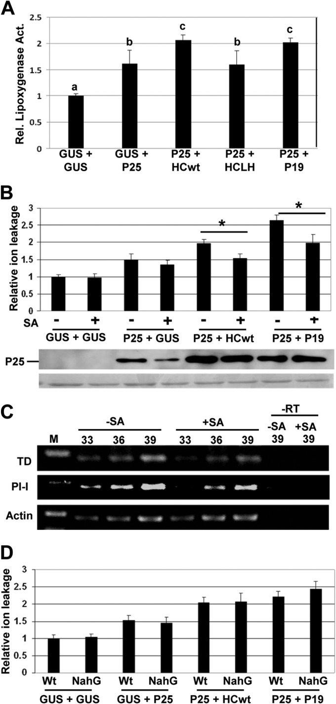 FIG 8