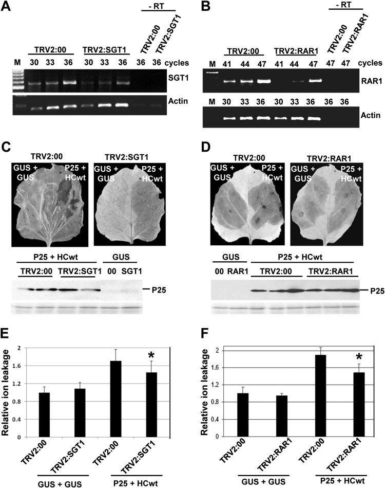 FIG 6