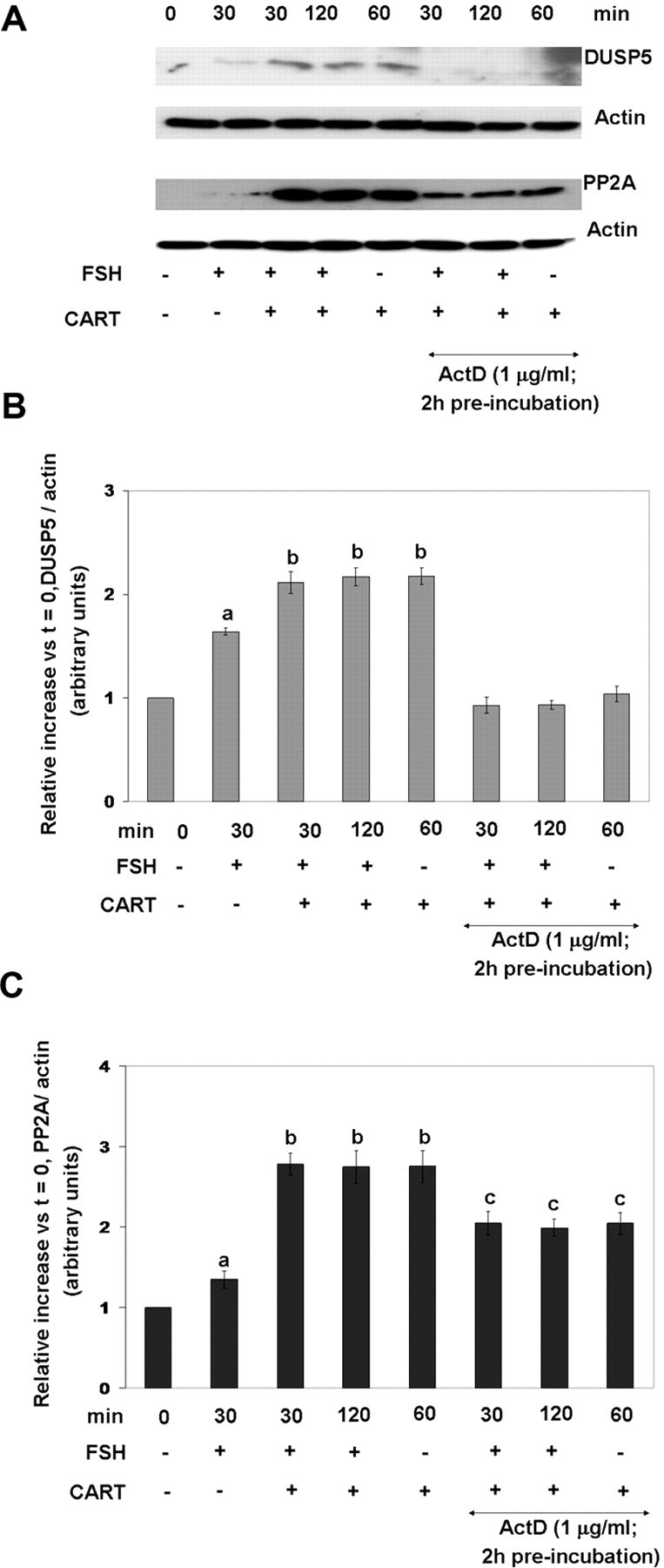 Fig. 10.