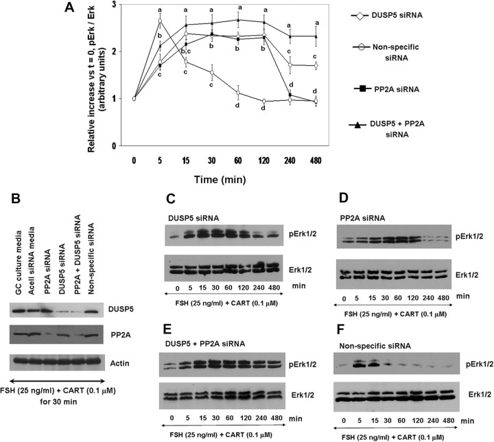 Fig. 11.