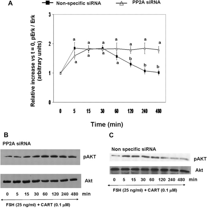 Fig. 12.