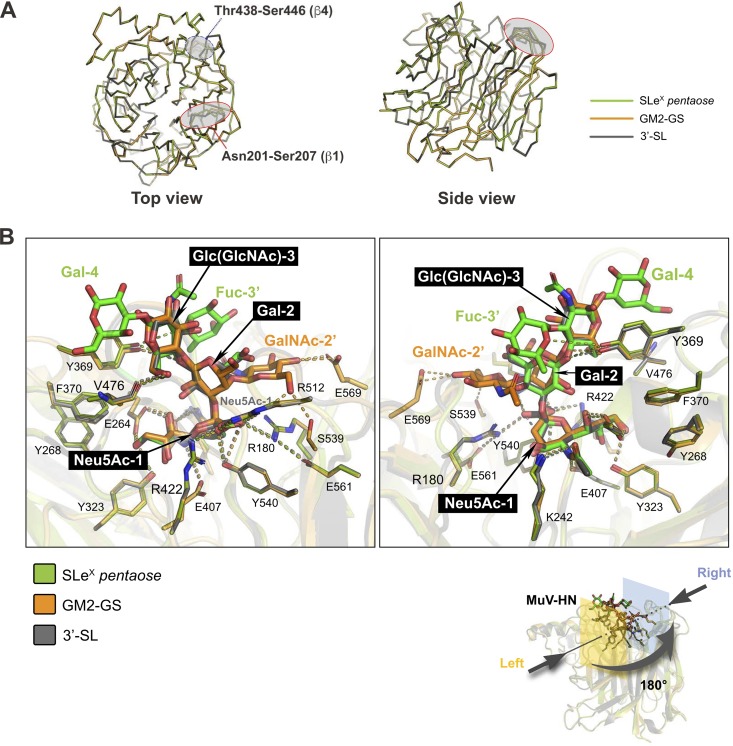 FIG 3