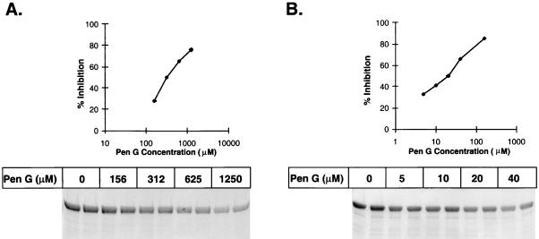 FIG. 5