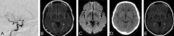 Fig 2.