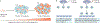 Fig. 2 |