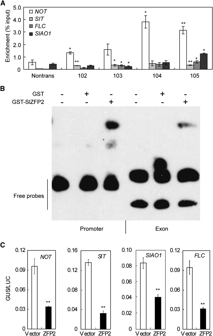 Figure 9.