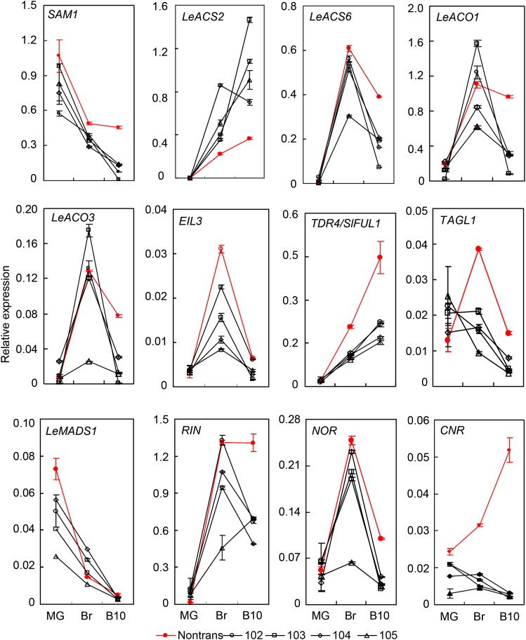 Figure 7.