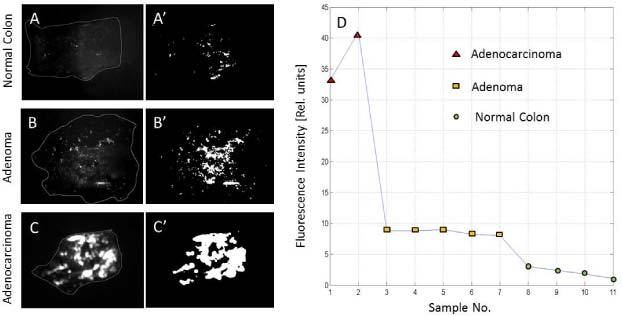 Fig. 12