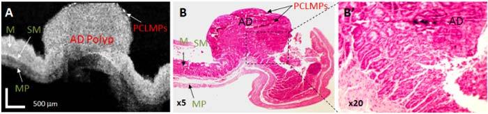 Fig. 9