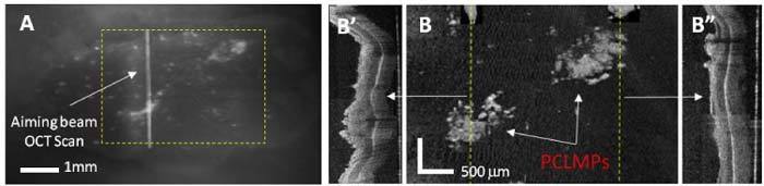 Fig. 8