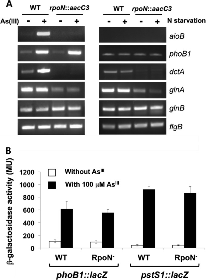 Fig 5