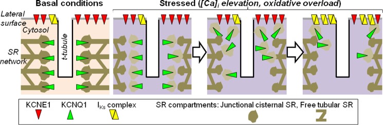 FIGURE 10.