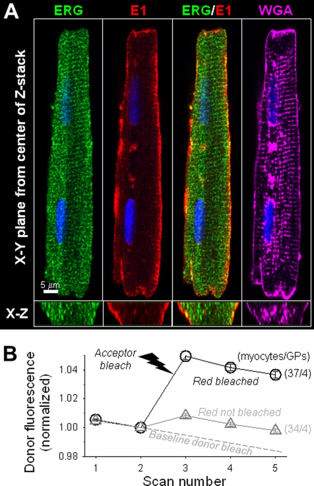 FIGURE 11.