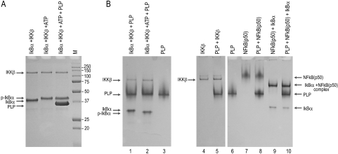 FIG. 6.