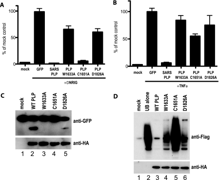 FIG. 9.