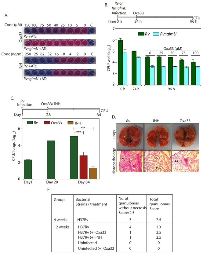 Fig 8