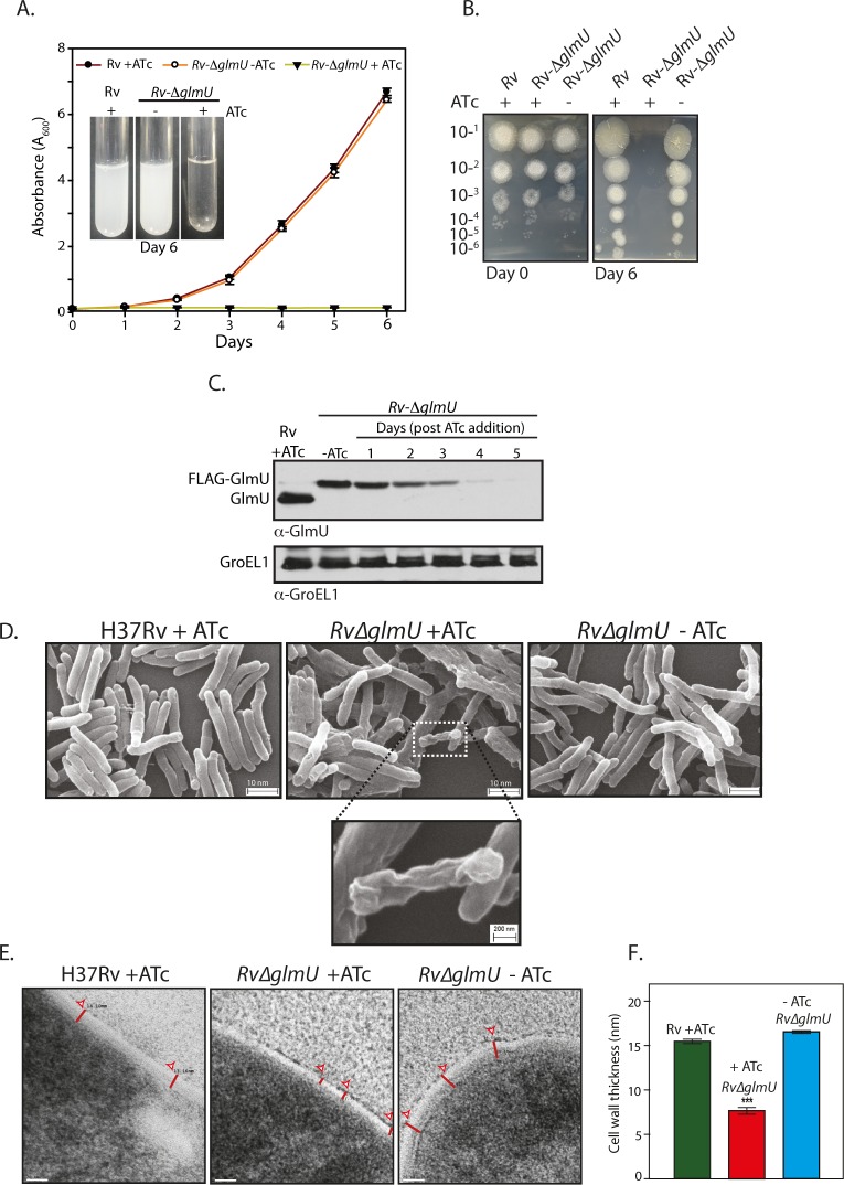 Fig 2