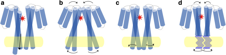 Fig. 4