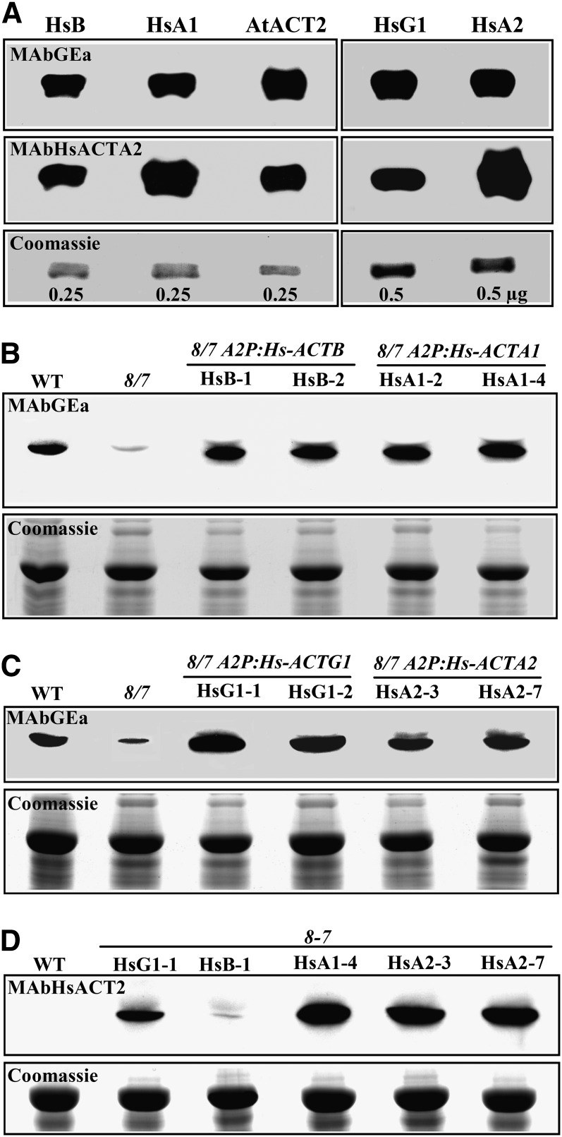 Figure 6.