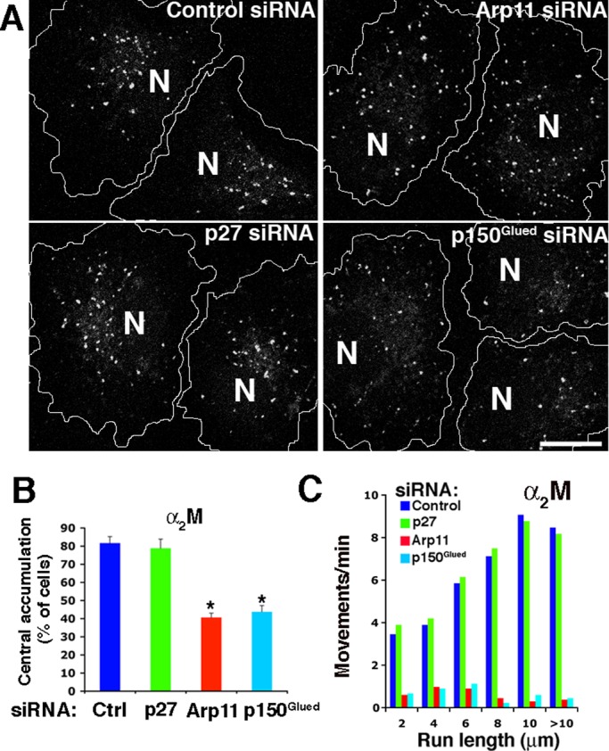 FIGURE 6: