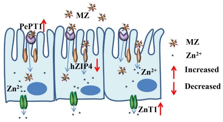 Figure 9