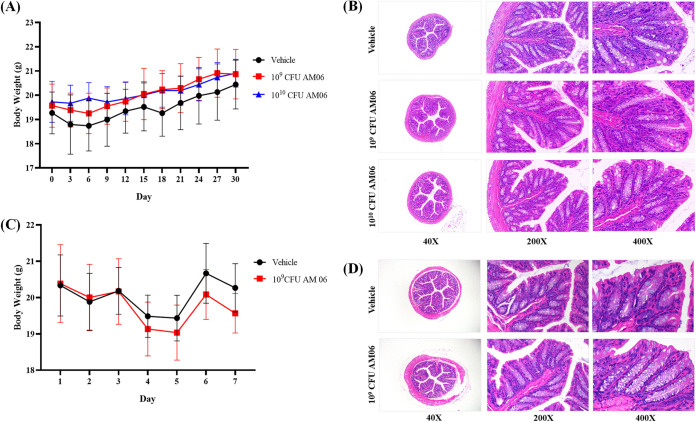 FIG 3