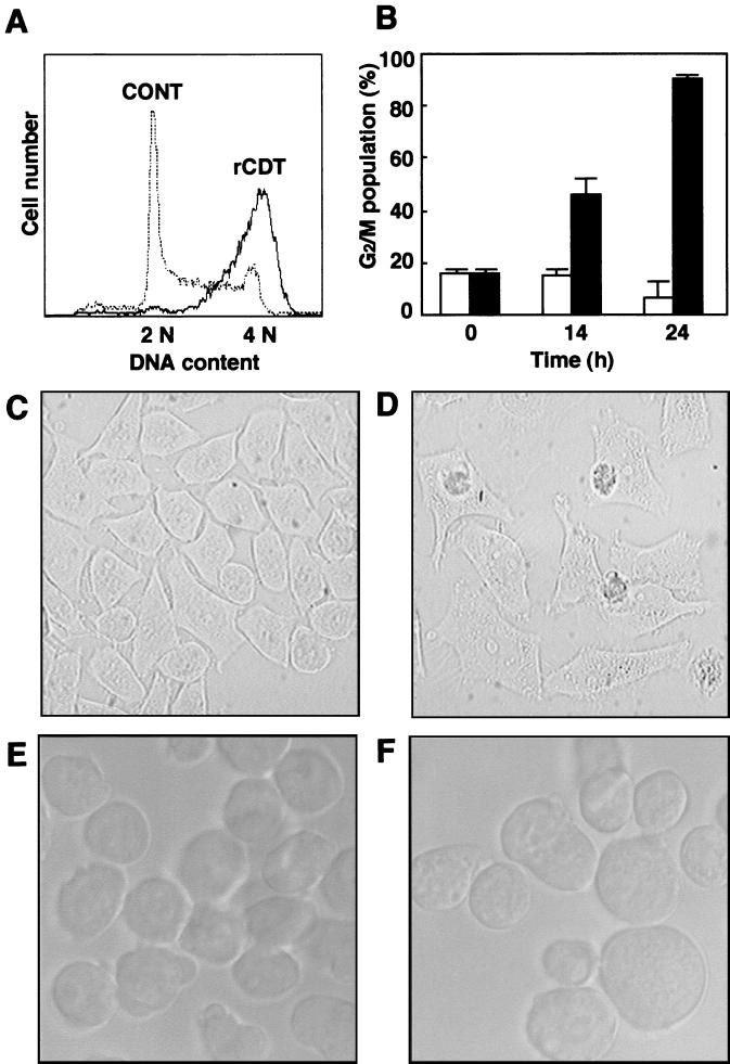 FIG. 1.